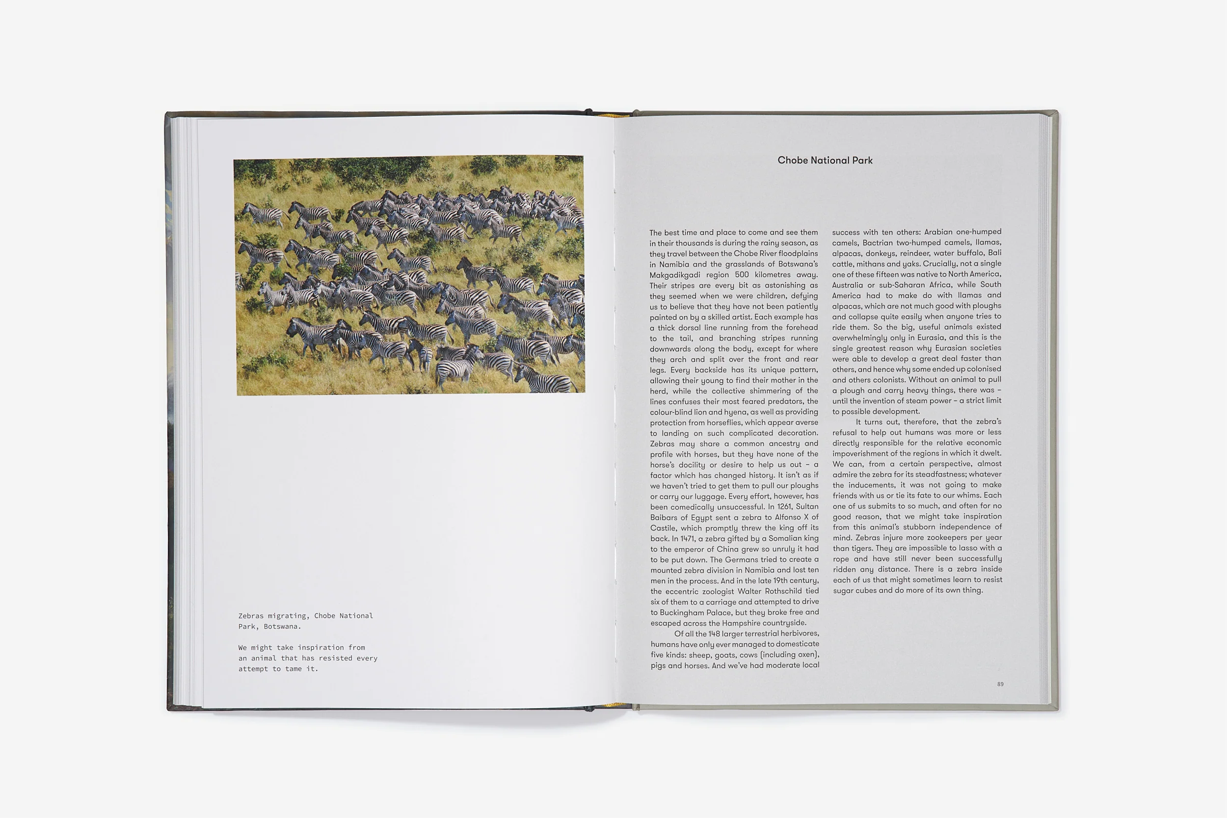 A Therapeutic Atlas - Image 8
