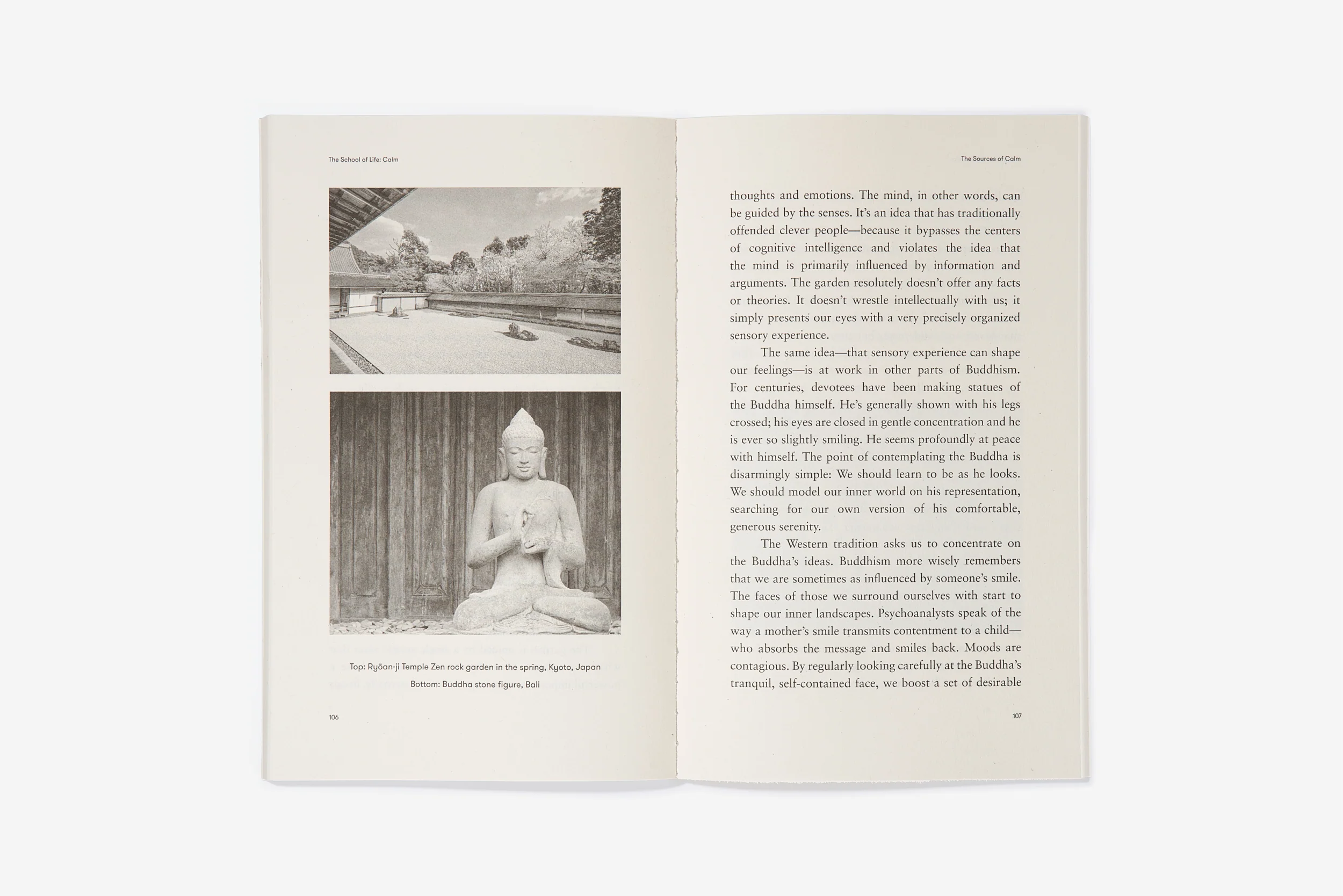 Calm - Image 4