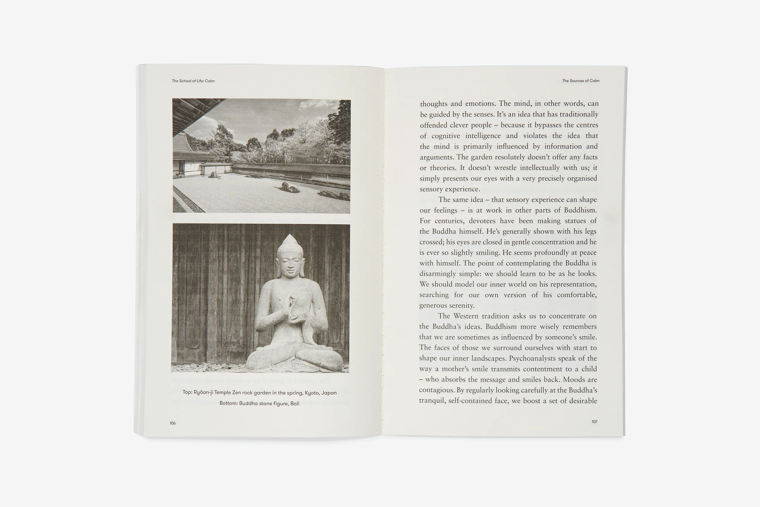 Calm - Image 4