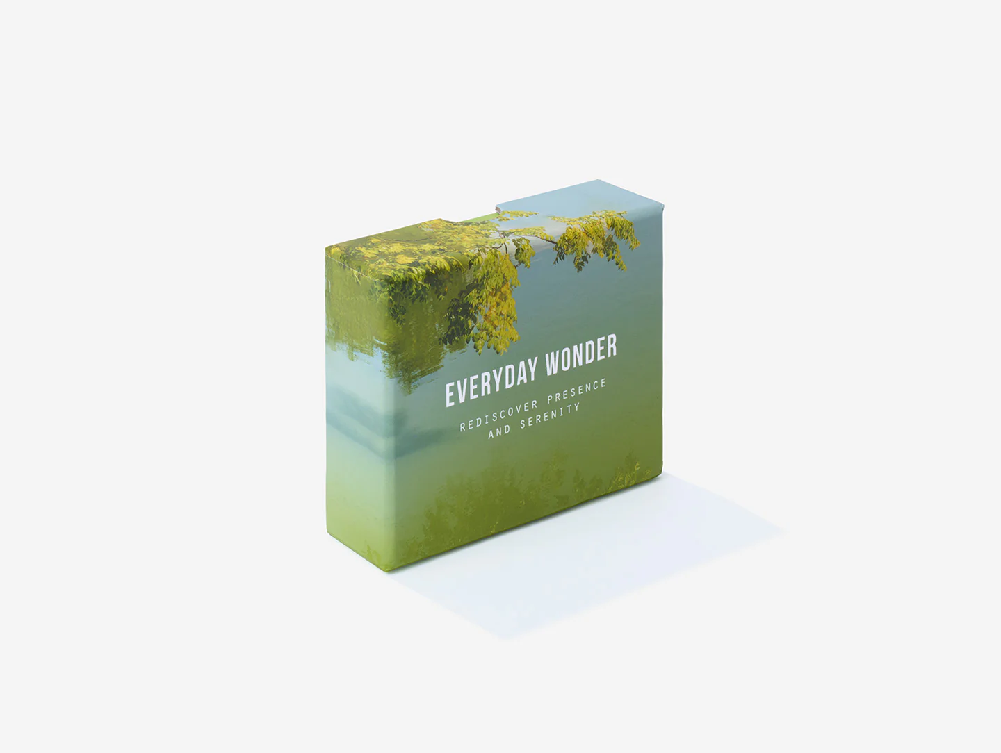 Everyday Wonder - Image 2