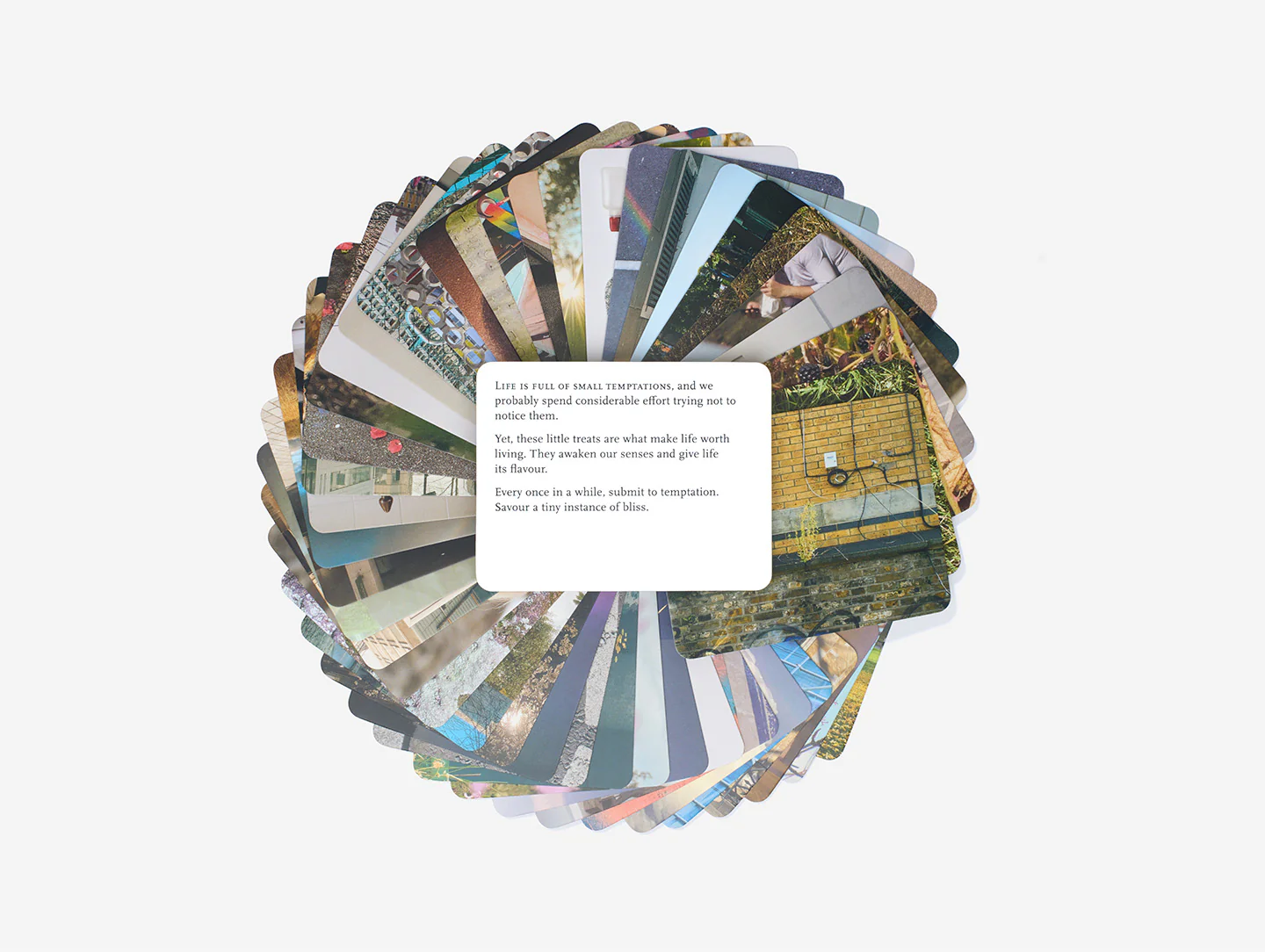 Everyday Wonder - Image 5
