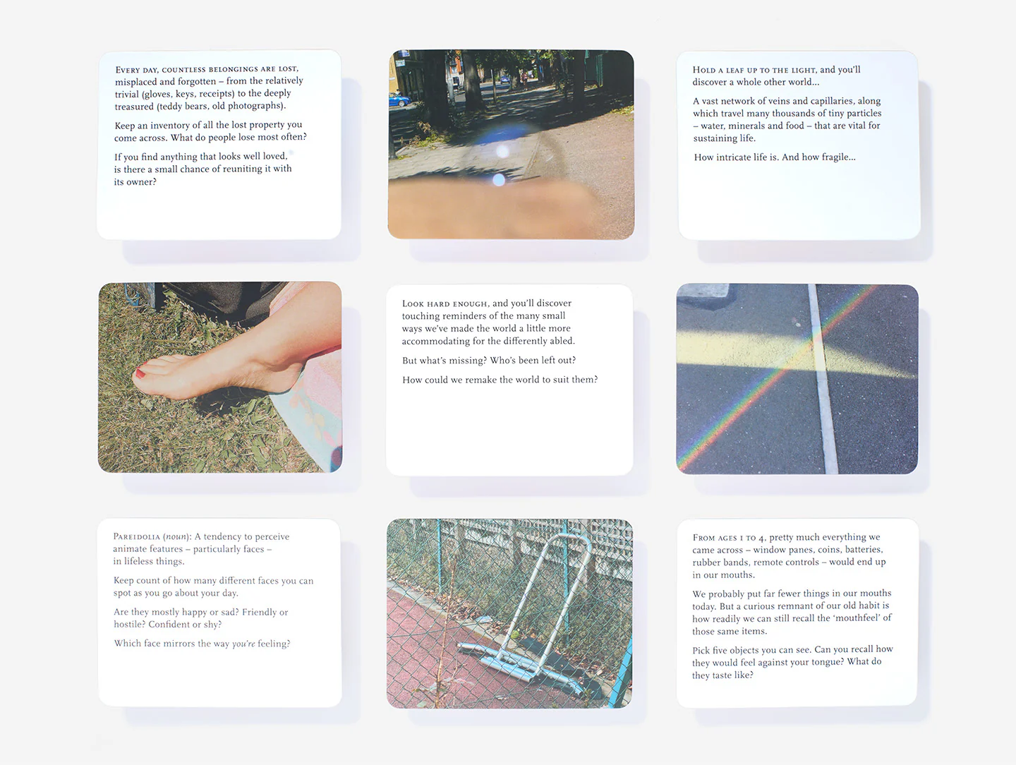 Everyday Wonder - Image 6