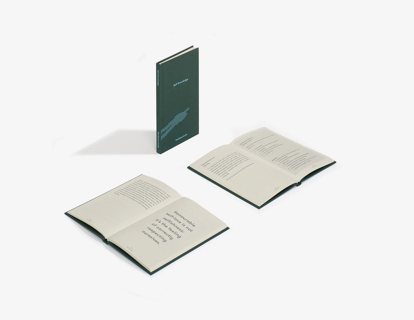 Self-Knowledge - Image 2