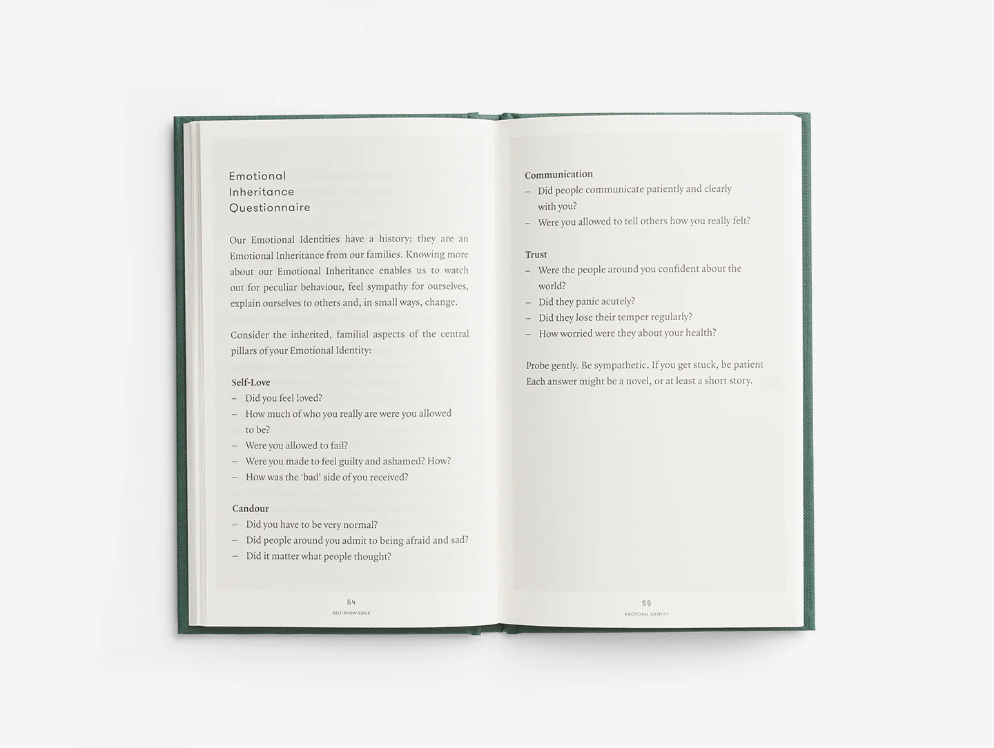 Self-Knowledge - Image 4