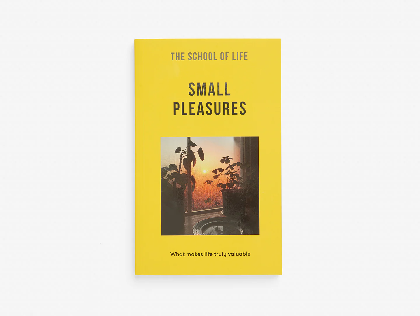 Small Pleasures