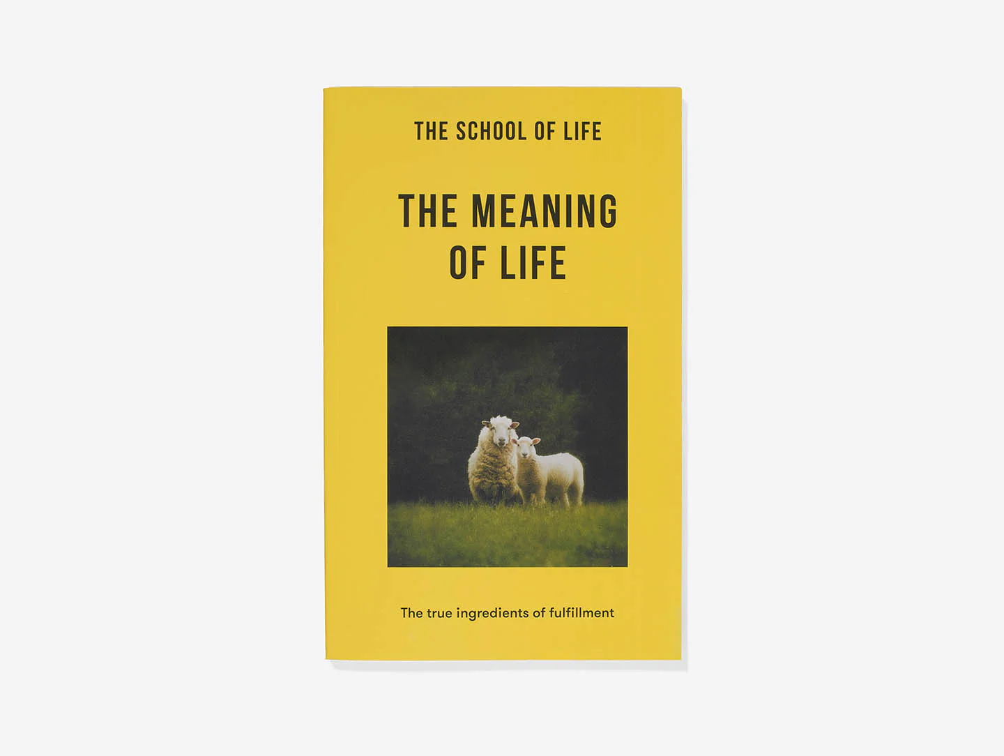 The Meaning of Life