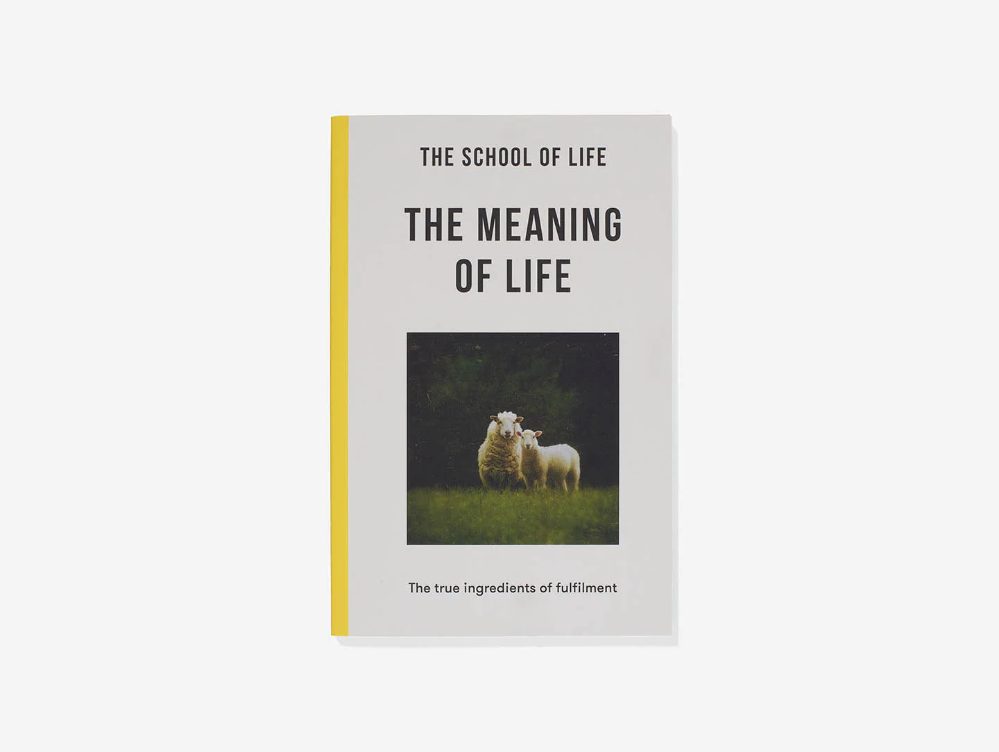 The Meaning of Life