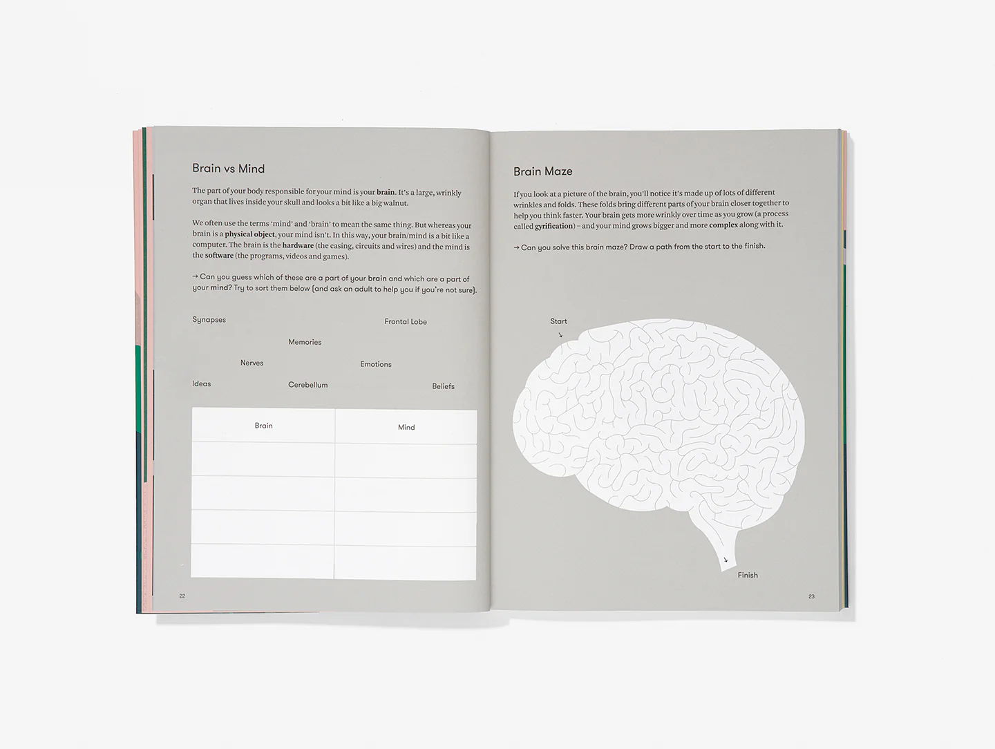 The Young Philosopher's Collection - Image 6