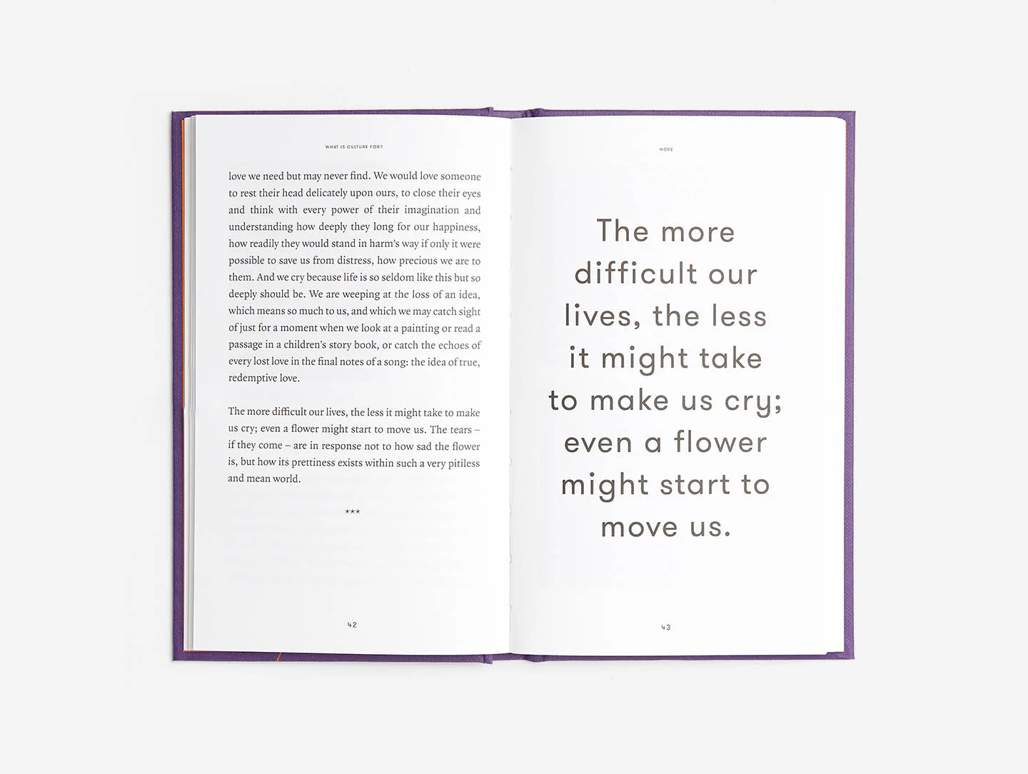 What is Culture For? - Image 3