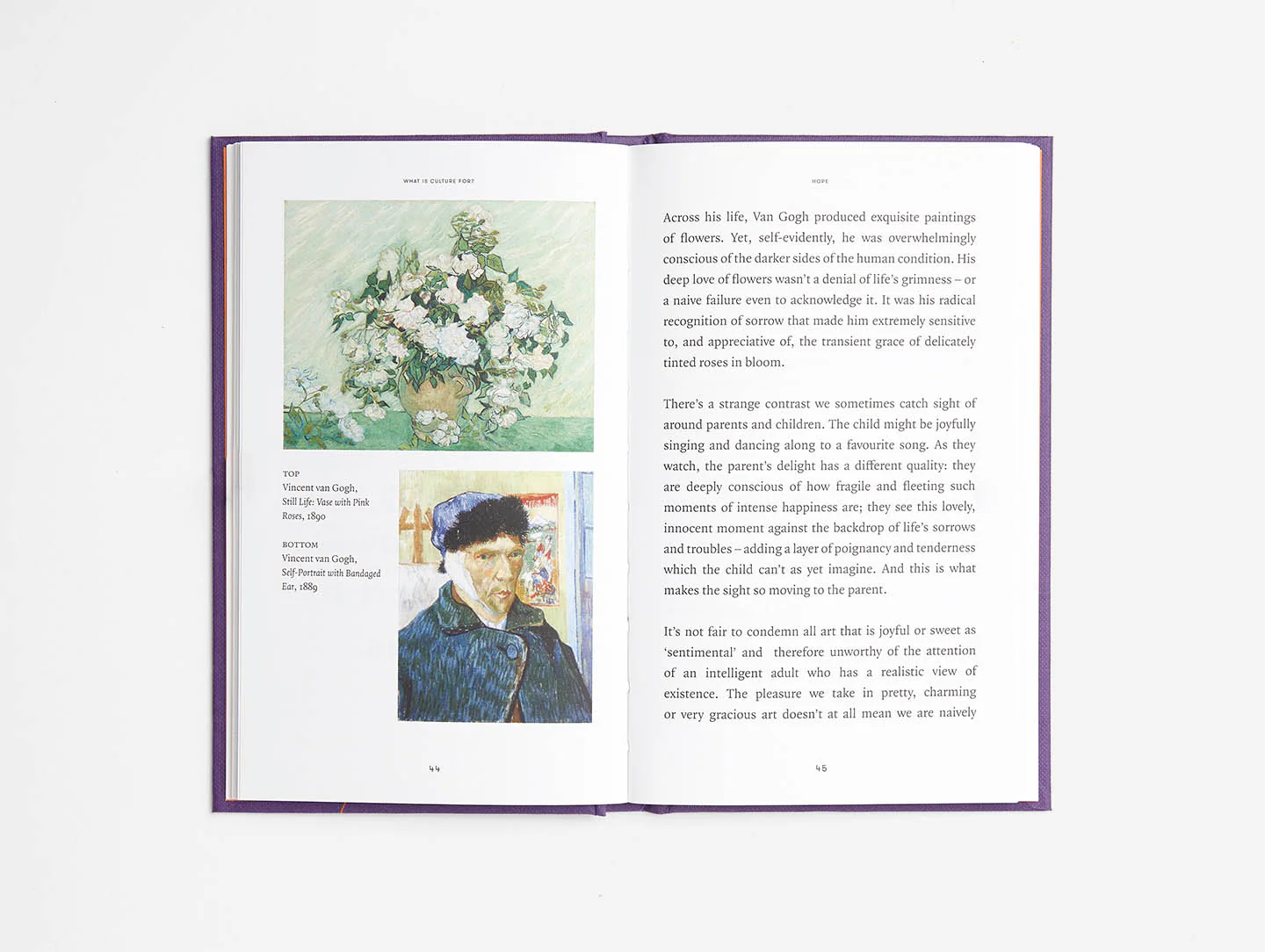 What is Culture For? - Image 4