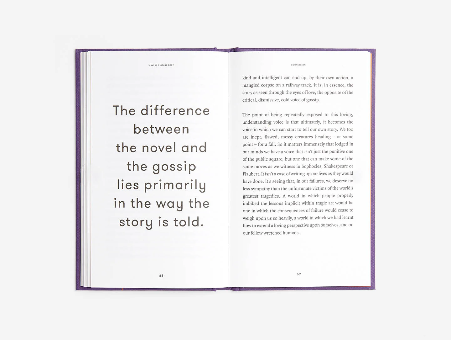 What is Culture For? - Image 5